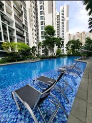 Bartley Ridge (D13), Condominium #592963441